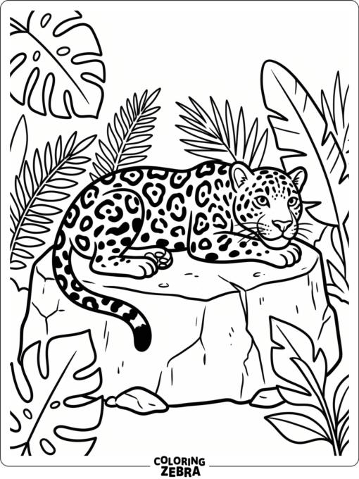 A spotted jaguar resting on a rock