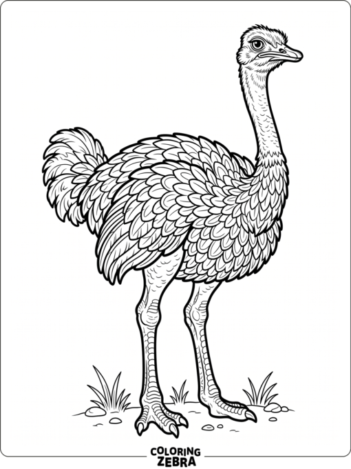 A detailed ostrich with layered feathers and textured legs
