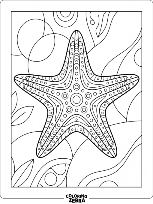 A large starfish with layered details and open space