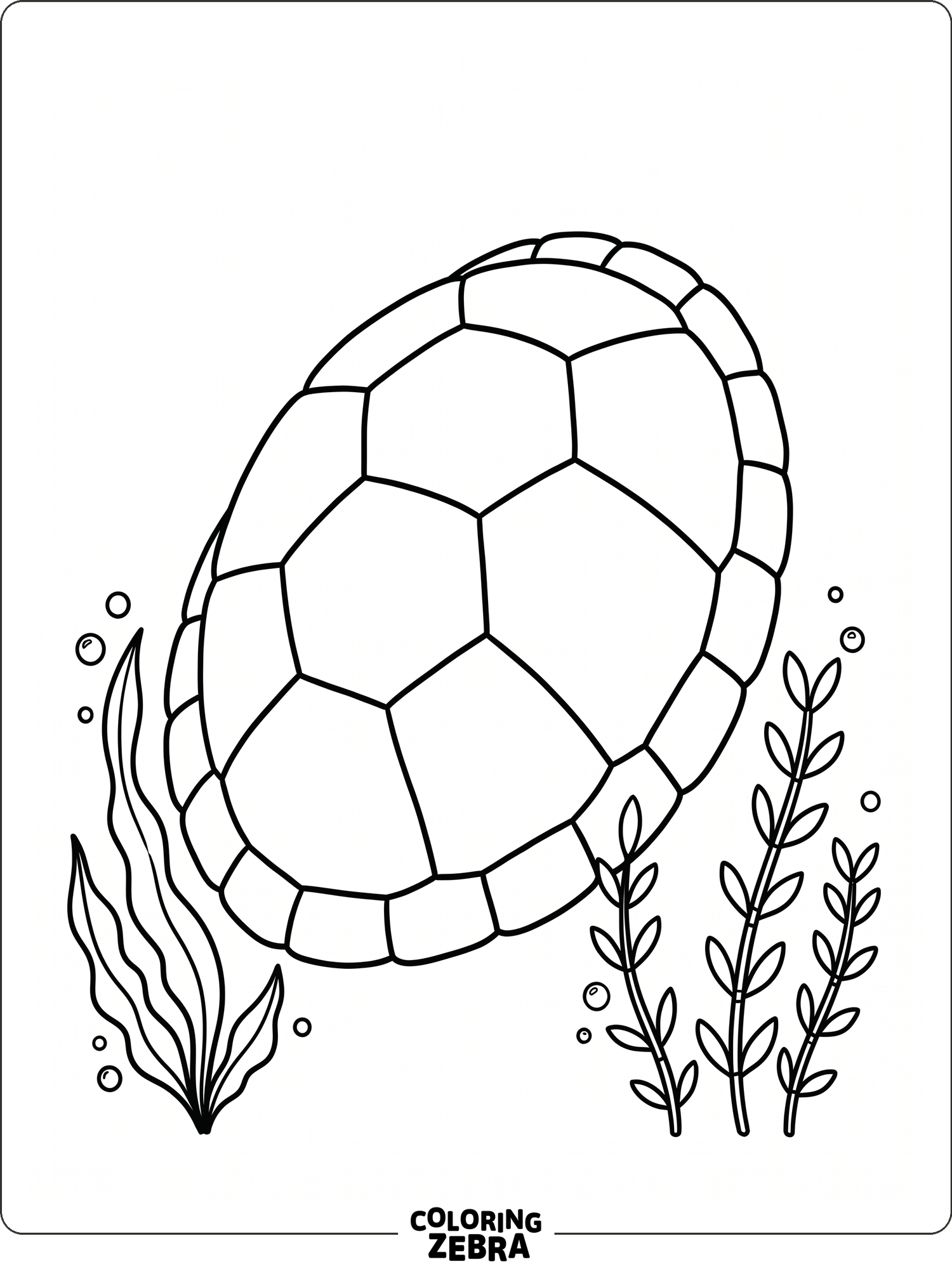 Turtle Colouring Coloured In 38 Free Turtle Coloring Pages - Printable PDF Sheets
