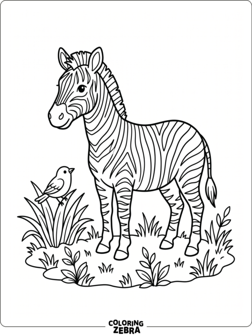 A zebra standing among grass tufts