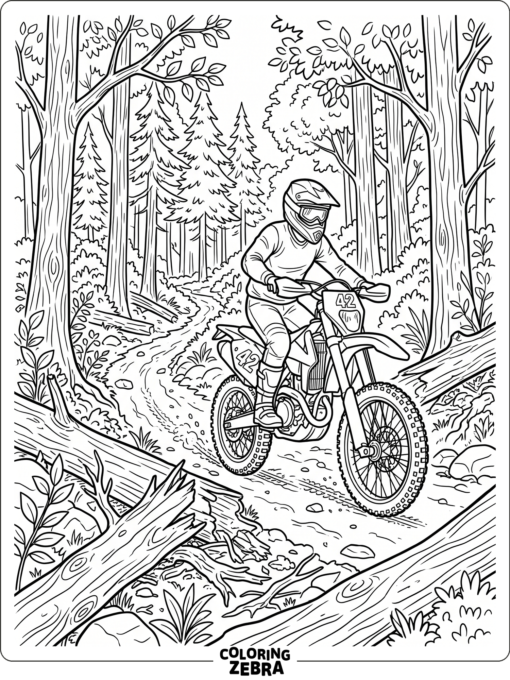 Dirt bike on a forest trail with trees and logs