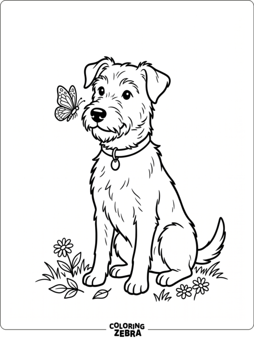 A dog sitting while a butterfly hovers near its nose