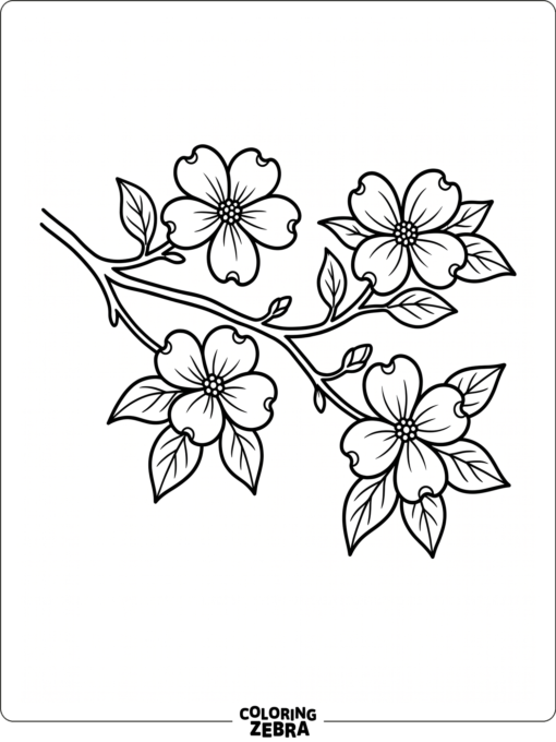 A dogwood branch with four-petal blossoms