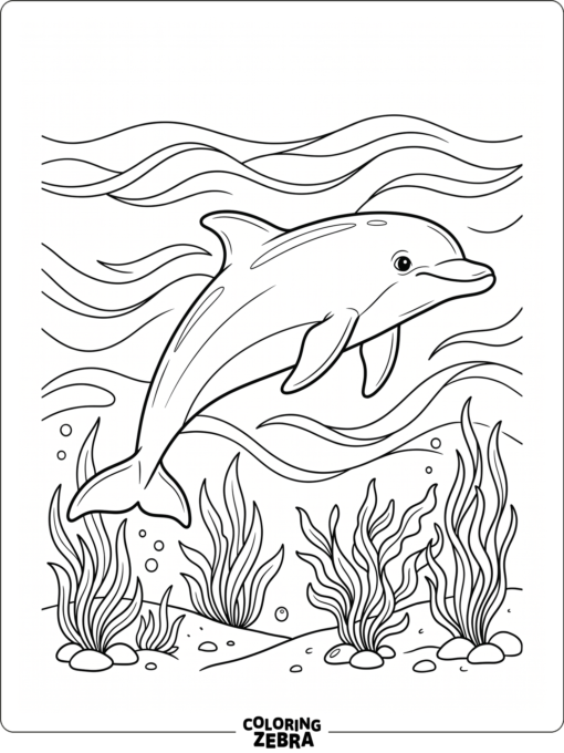 A dolphin gliding through soft ocean waves