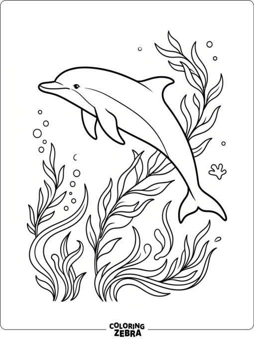 A graceful dolphin swimming in open water