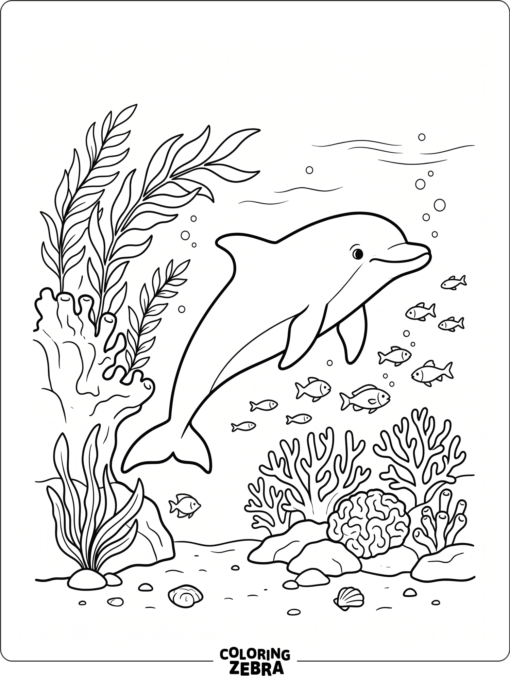 A dolphin swimming through the ocean