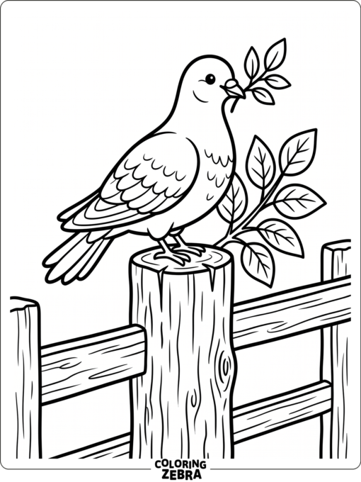 A dove resting on a fence post