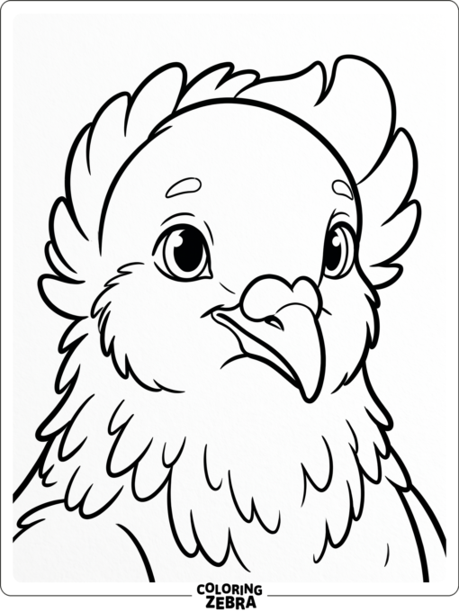 A close-up dove face with gentle eyes