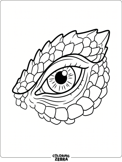 A close-up dragon eye with scales