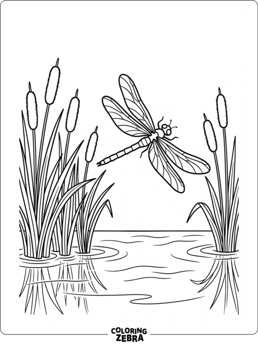 A dragonfly flying above cattails and water