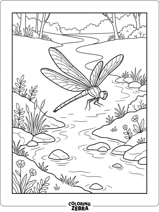 A dragonfly gliding over a stream