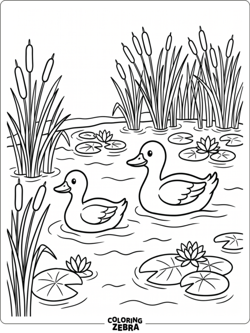 Two ducks gliding across a pond