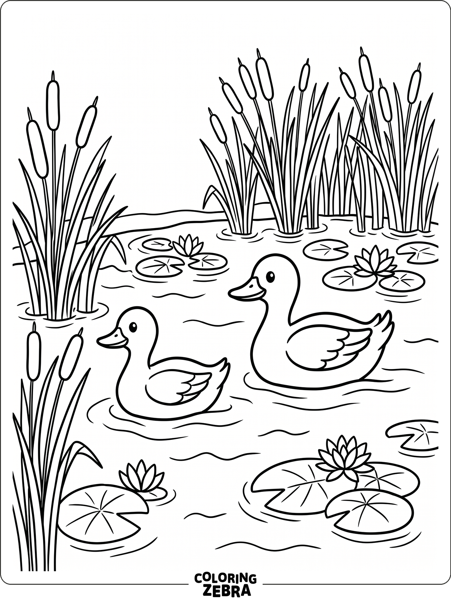 Two ducks gliding across a pond