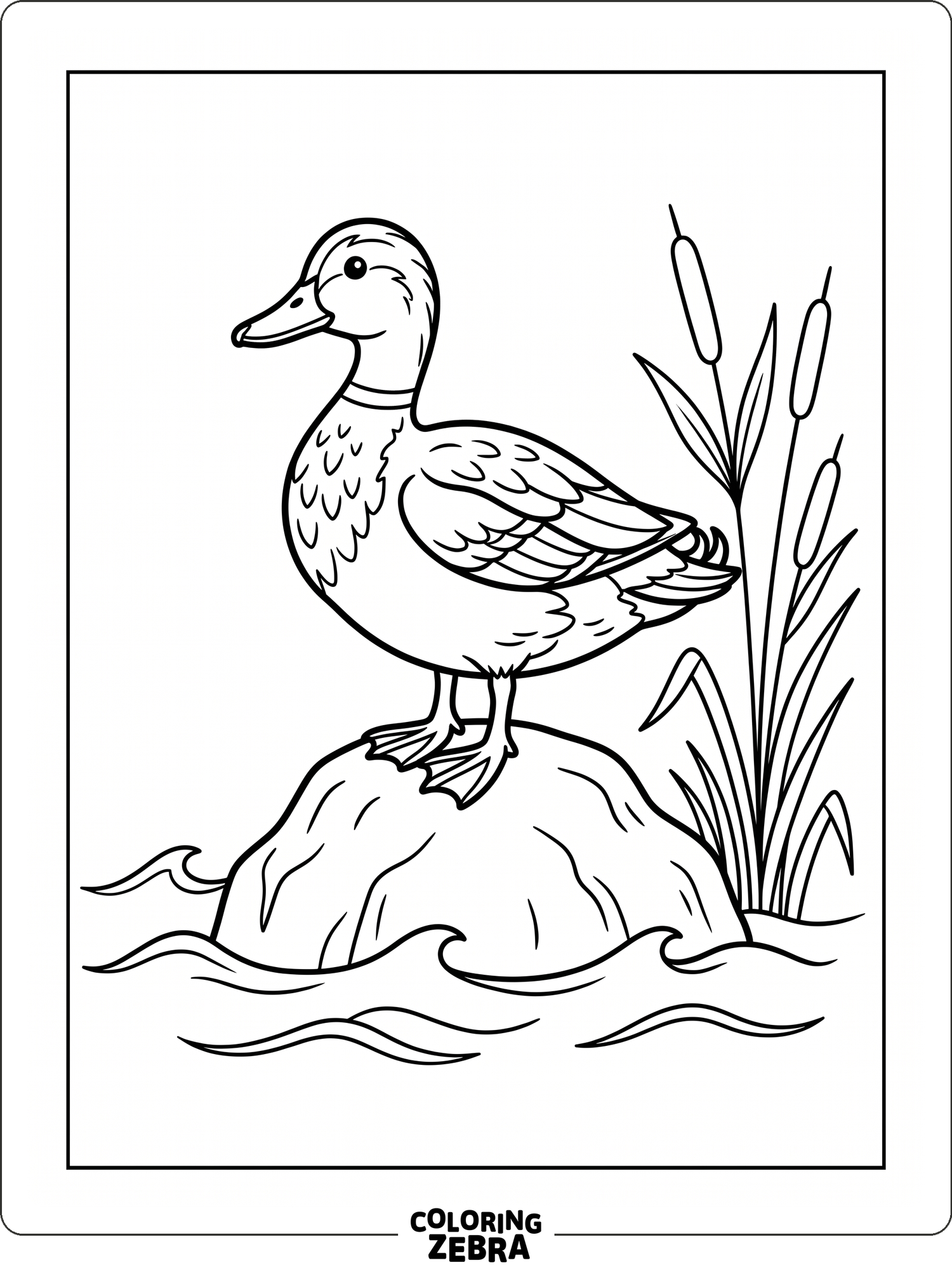 Duck Drawing.pdf 38 Free Duck Coloring Pages - Printable PDF Sheets