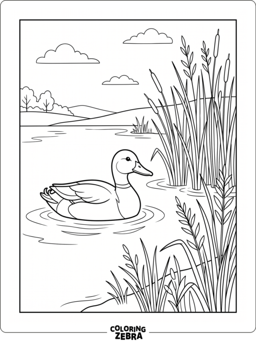 A duck floating near tall grass