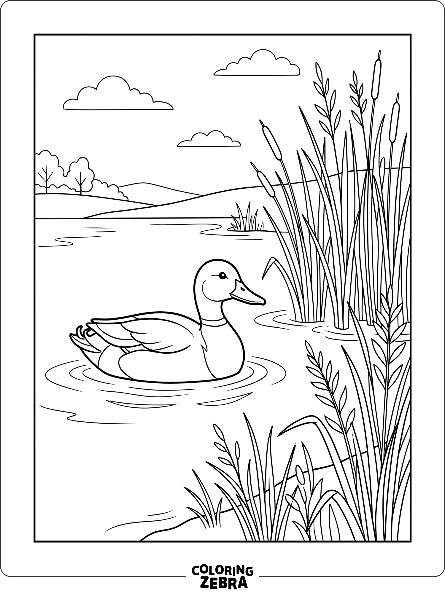 Duck Drawing.pdf 38 Free Duck Coloring Pages - Printable PDF Sheets