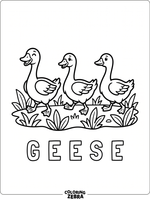 Three geese lined up in a playful game scene