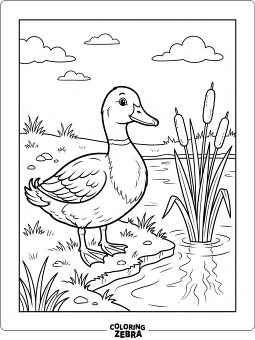 A duck standing by a pond
