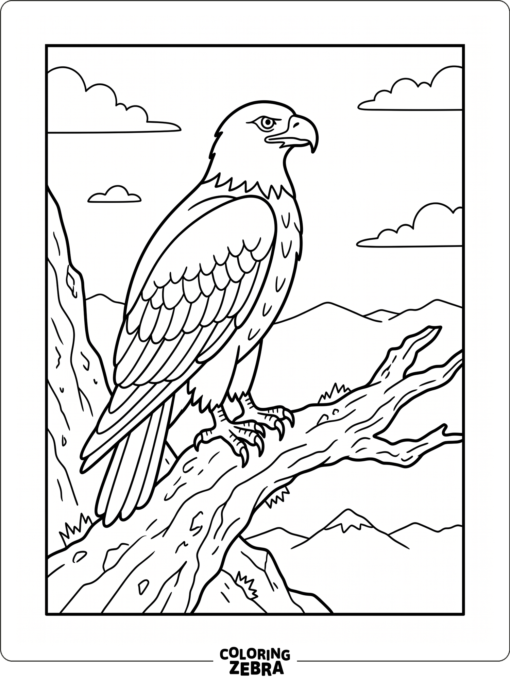An eagle perched on a branch with folded wings
