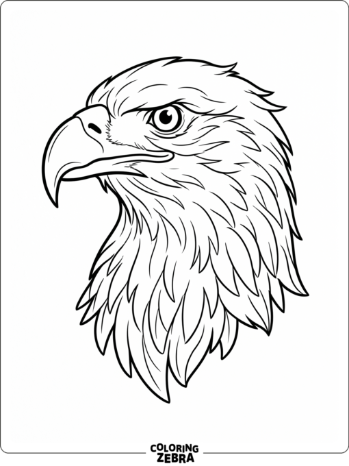 A close-up eagle head with a sharp beak