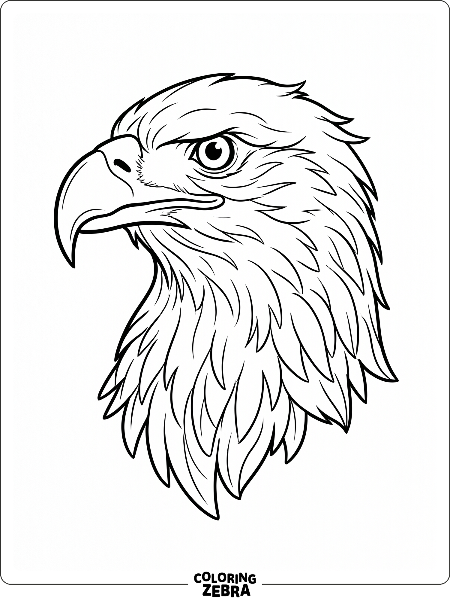 A close-up eagle head with a sharp beak