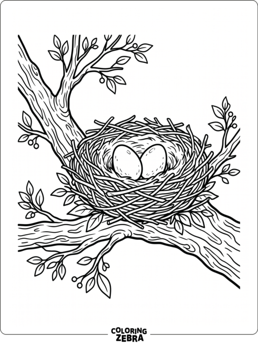 An eagle nest with twigs and eggs on a branch