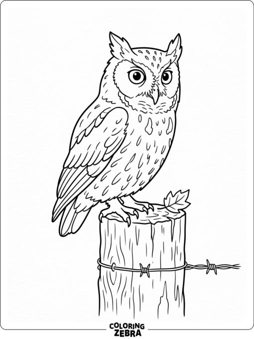 An eastern screech owl perched on a fence post