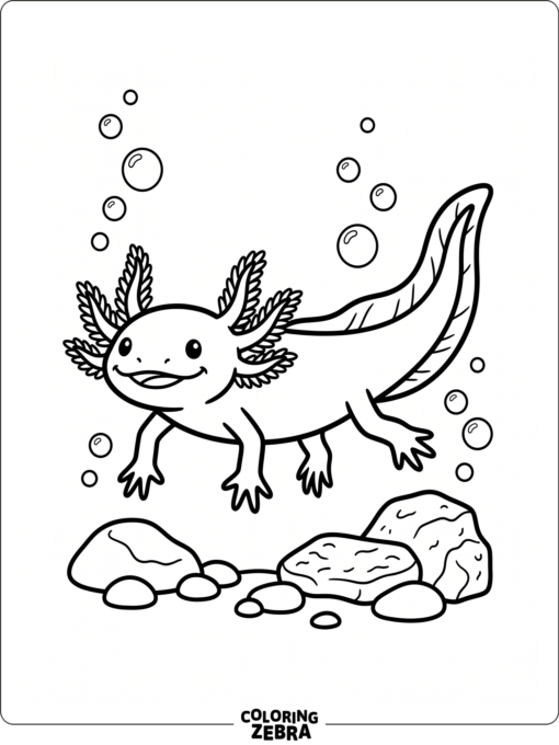 A plain axolotl outline with bubbles and rocks