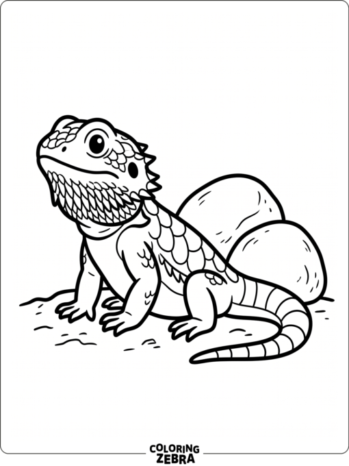 A simple bearded dragon sitting beside two stones