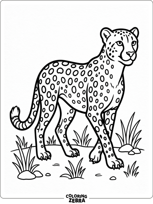 A simple cheetah outline with spots
