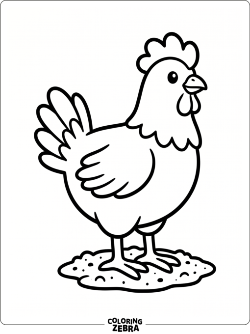A simple chicken standing on bare ground