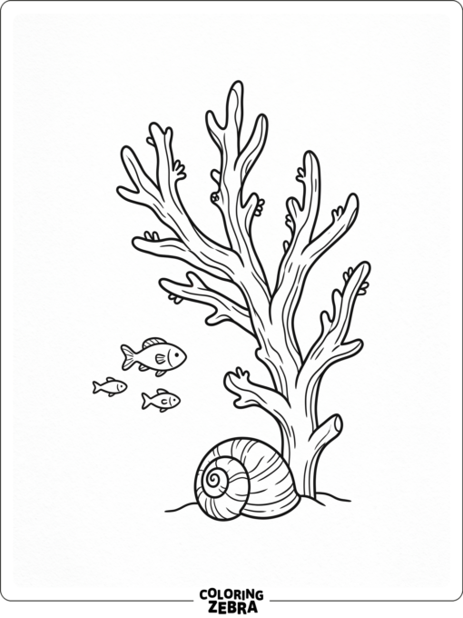 A single coral branch with a seashell and fish