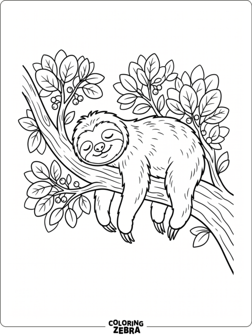 A cute sloth resting on a branch