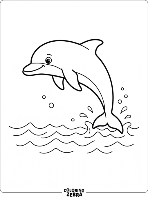 A simple dolphin swimming in open water
