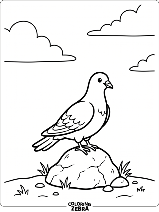 An easy dove perched on a rock