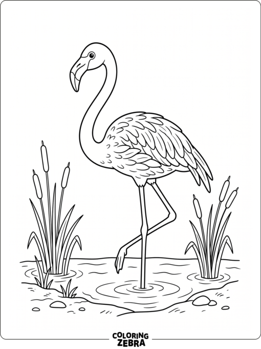 A simple flamingo standing in a pond