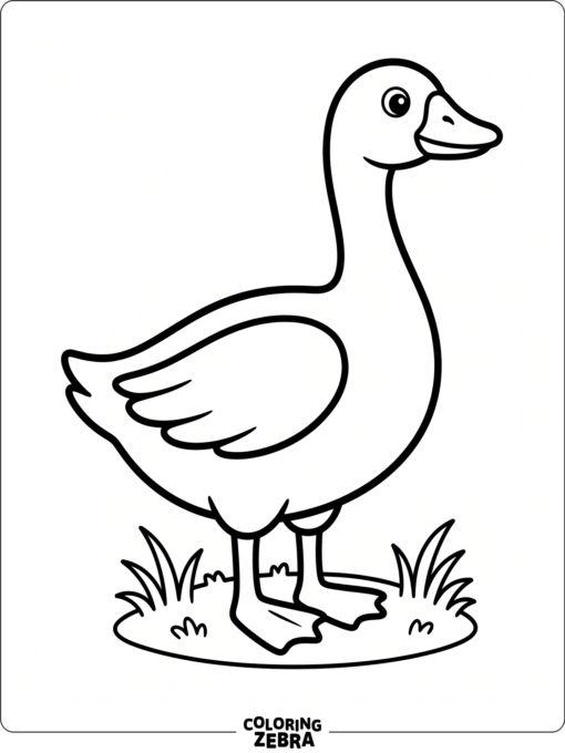 An easy goose standing on a patch of grass