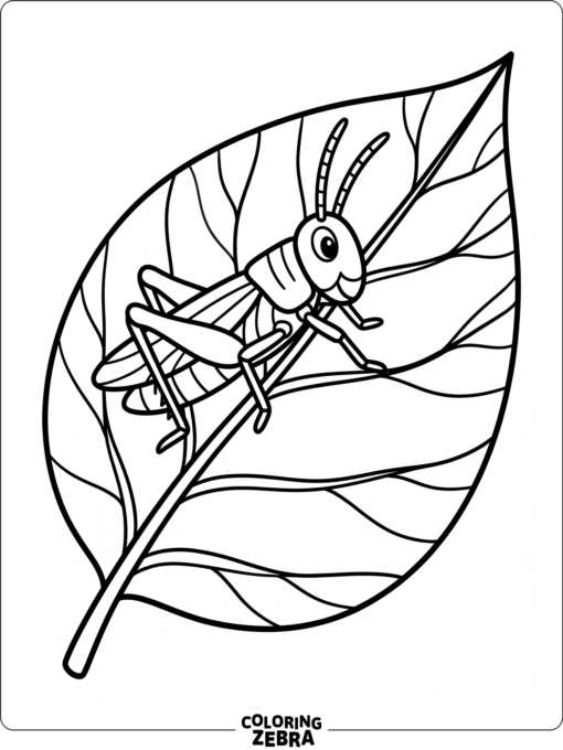 A simple grasshopper on a large leaf