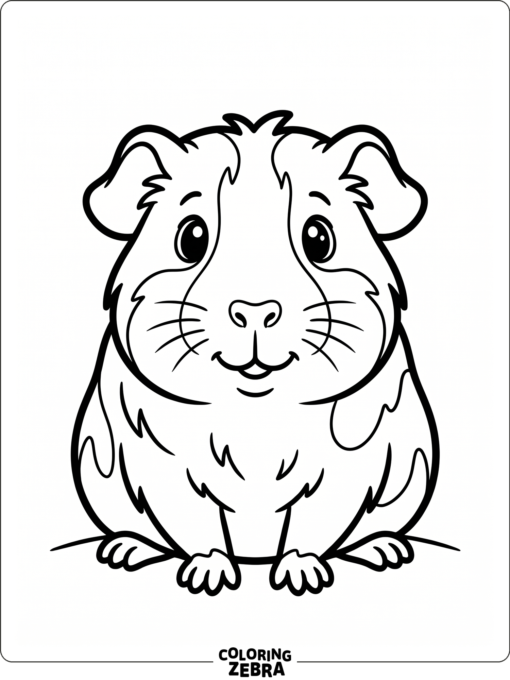 A cute guinea pig sitting front view with bold outlines