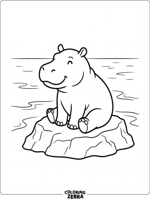 A simple hippo sitting on a rock by water