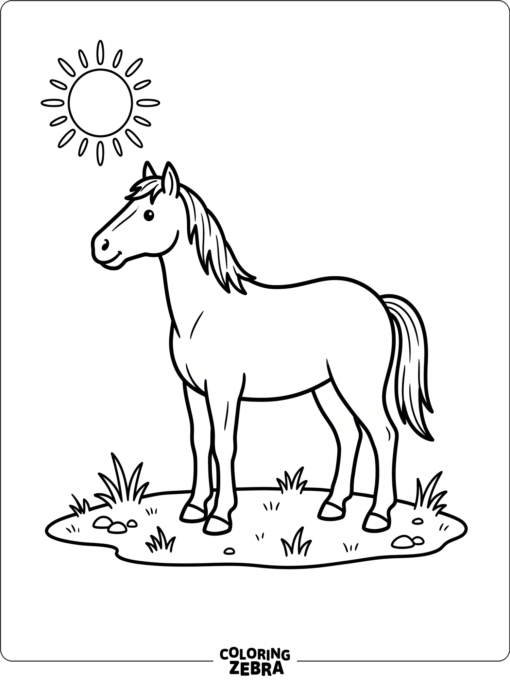 A simple horse standing on plain ground