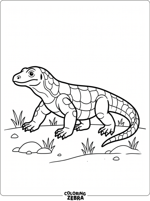 A komodo dragon walking with minimal grass and open space