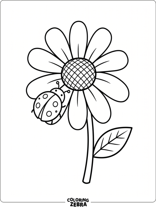 An easy ladybug resting on a daisy