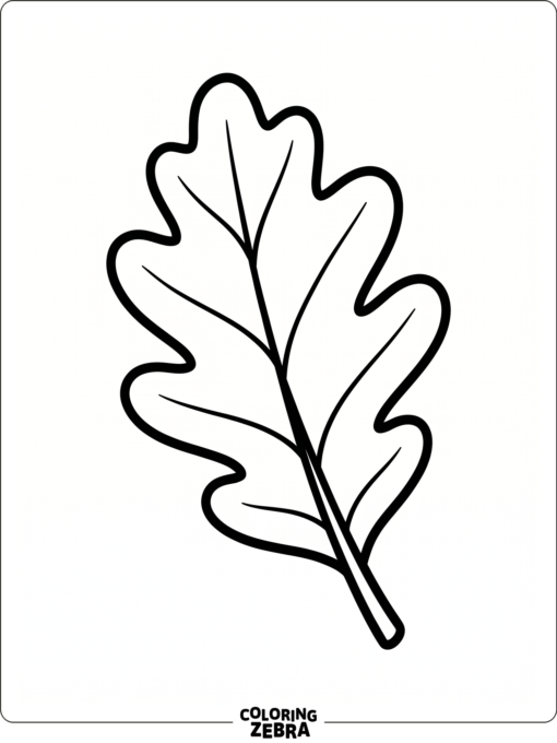 A simple leaf with thick outlines