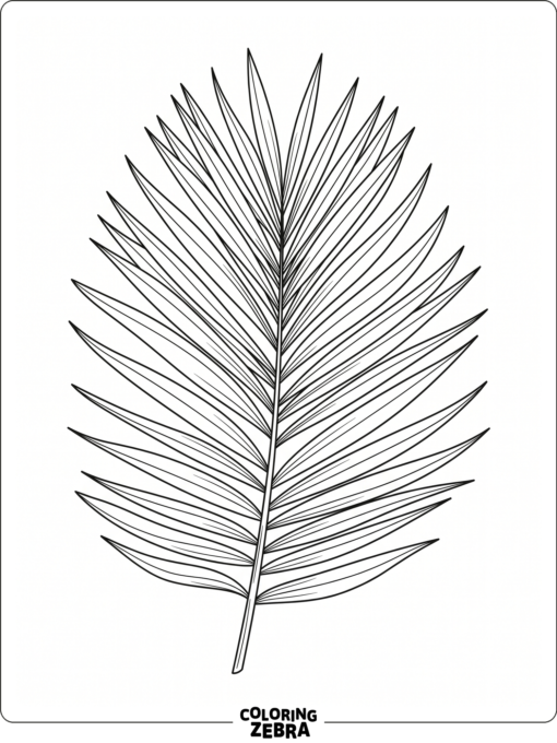 A single palm frond with long leaflets