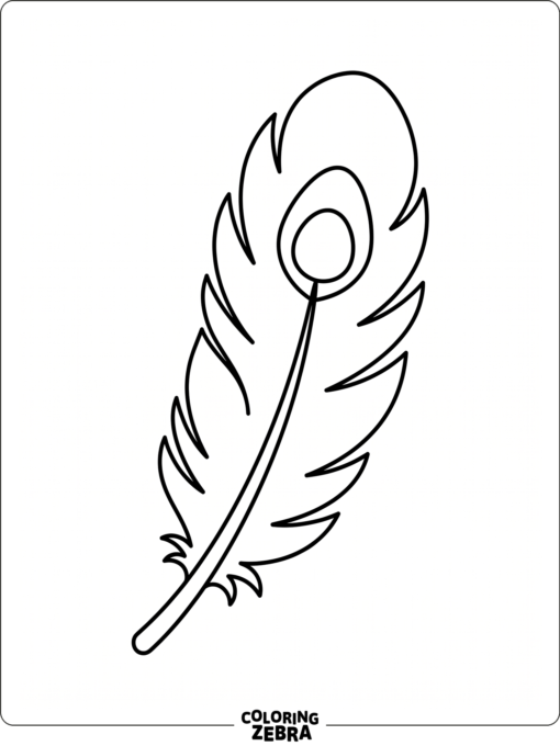 An easy peacock feather with a rounded eye spot