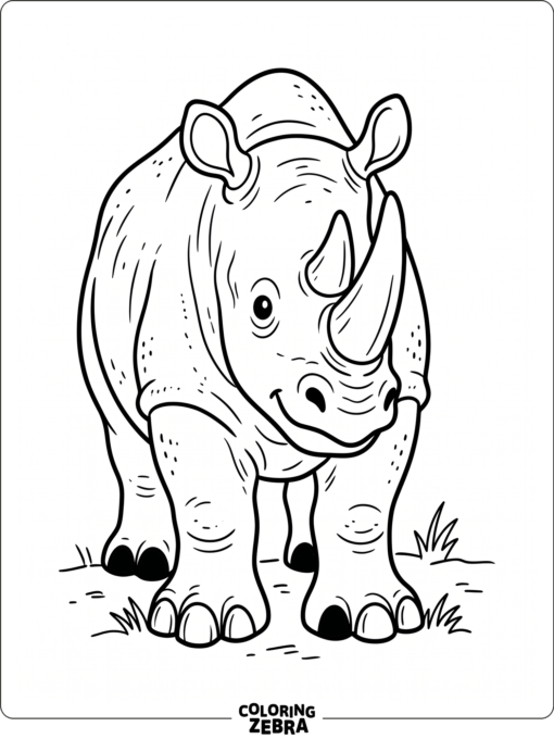 A front-view rhino with big feet and bold outlines