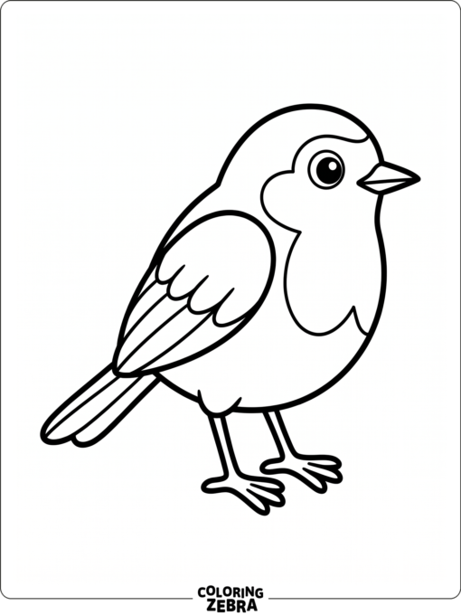 A simple robin standing alone with bold outlines