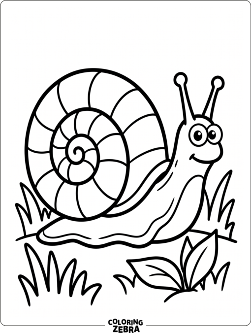 A snail with an extra large shell and simple grass